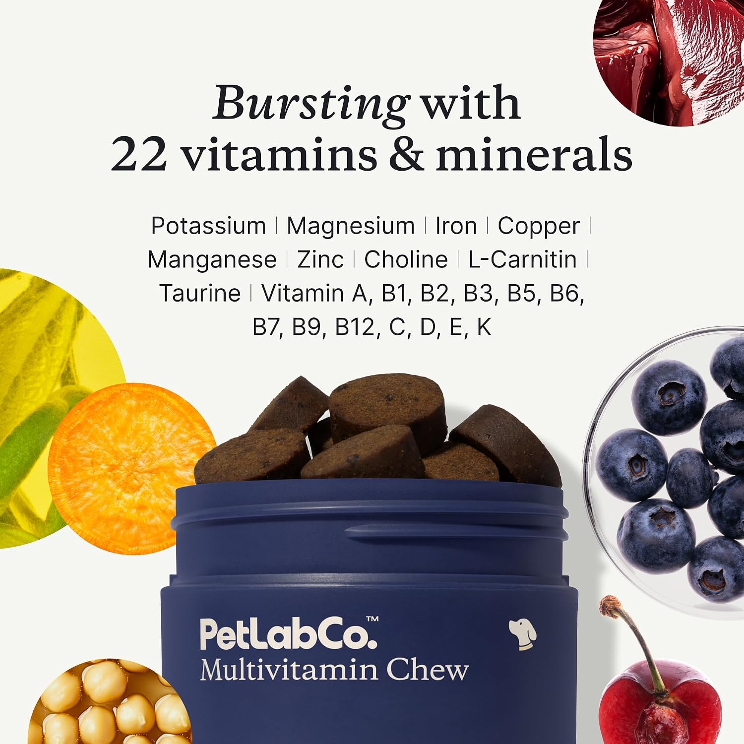PetLab Co. 22 en 1 Multivitamínico para Perros - Apoyo Inmunitario, Piel, Pelaje, Articulaciones - Vitaminas A, E, D, B12 - Masticable Sabor Cerdo