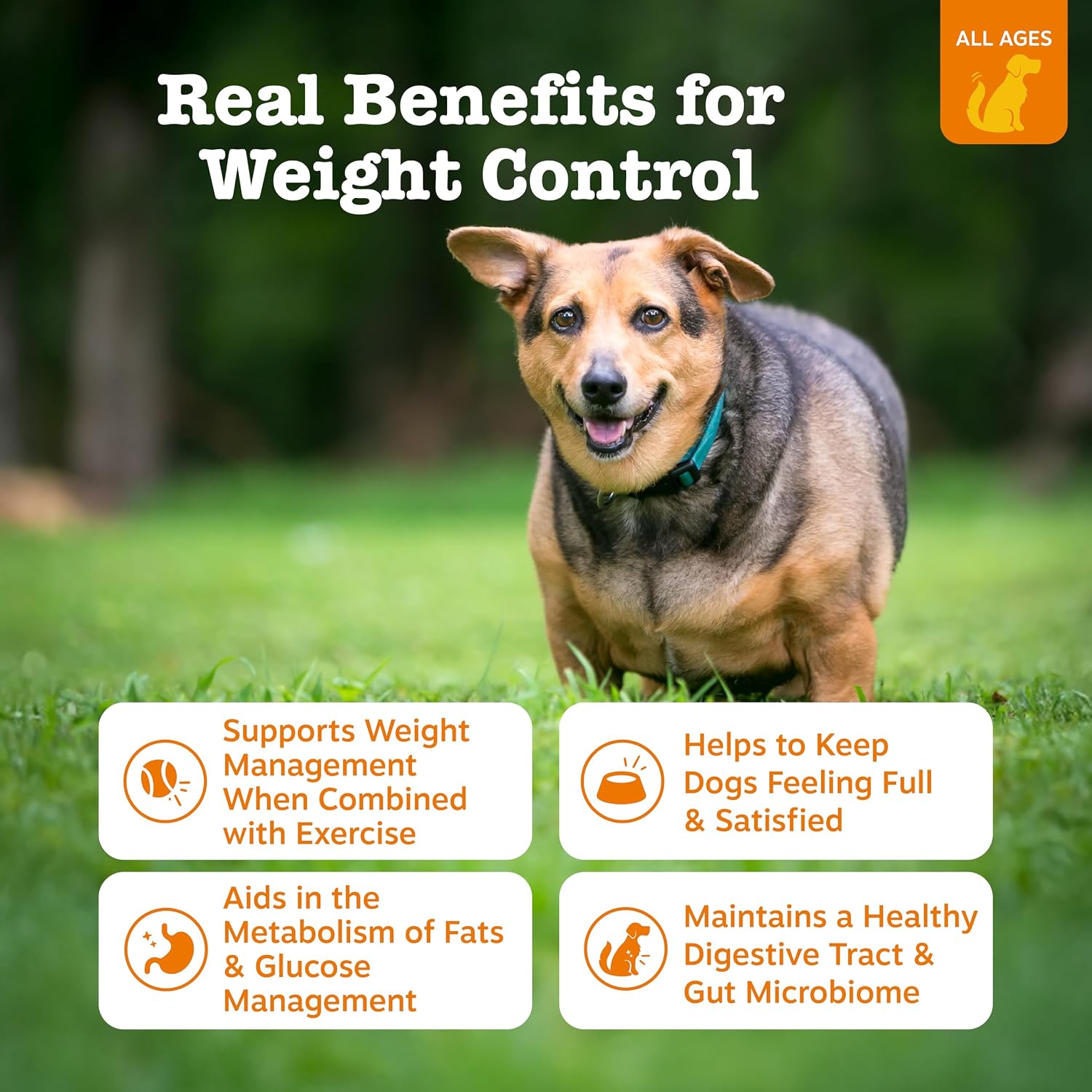 Zesty Paws Weight Management Bites para Perros - 90 masticables