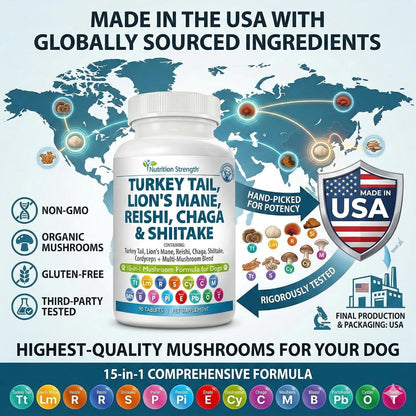 Nutrition Strength 15-in-1 Mushroom Support – Chaga: Ofrece apoyo antioxidante que contribuye a la vitalidad – Image 6