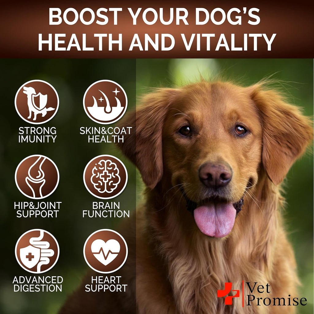 Vet Promise Suplemento de Hongos para Perros - 170 Masticables - Turkey Tail, Lion's Mane, Reishi