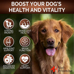 Vet Promise Suplemento de Hongos para Perros - 340 Masticables (2 Pack) - Multivitamínico con Turkey Tail, Lion's Mane, Reishi, Probióticos y Glucosamina