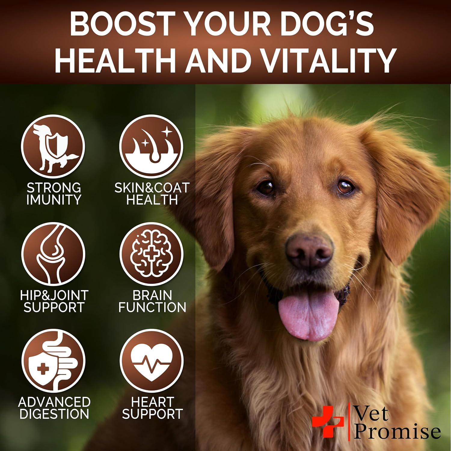 Vet Promise Suplemento de Hongos para Perros - 340 Masticables (2 Pack) - Multivitamínico con Turkey Tail, Lion's Mane, Reishi, Probióticos y Glucosamina