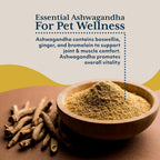Ayush Pet Ashwagandha Cápsulas para Perros y Gatos, 120 dosis