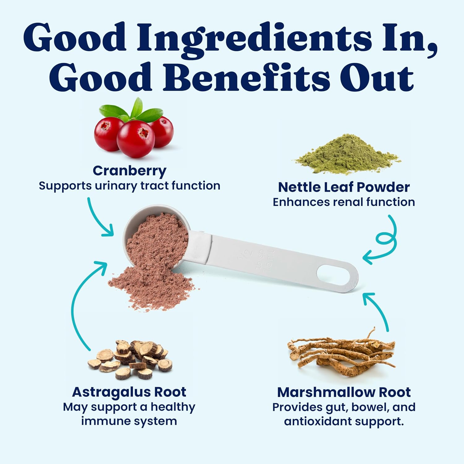 Solid Gold Berry Balance - Suplemento de Arándano Rojo para Perros con Antioxidantes (Polvo 100g, Sabor Arándano)