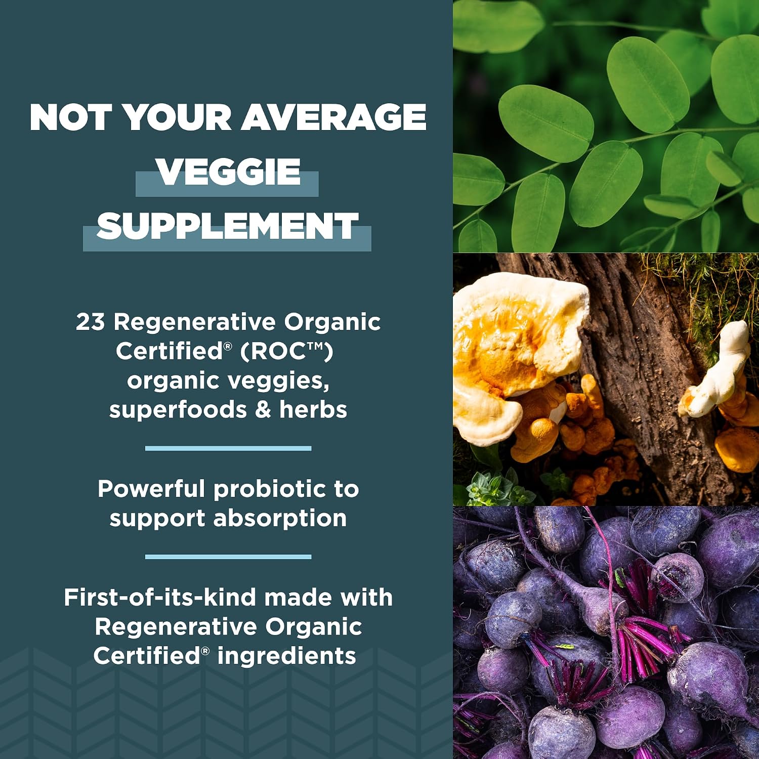 Ancient Nutrition SuperVeggies Cápsulas - Certificado Orgánico Regenerativo, 60 Cápsulas