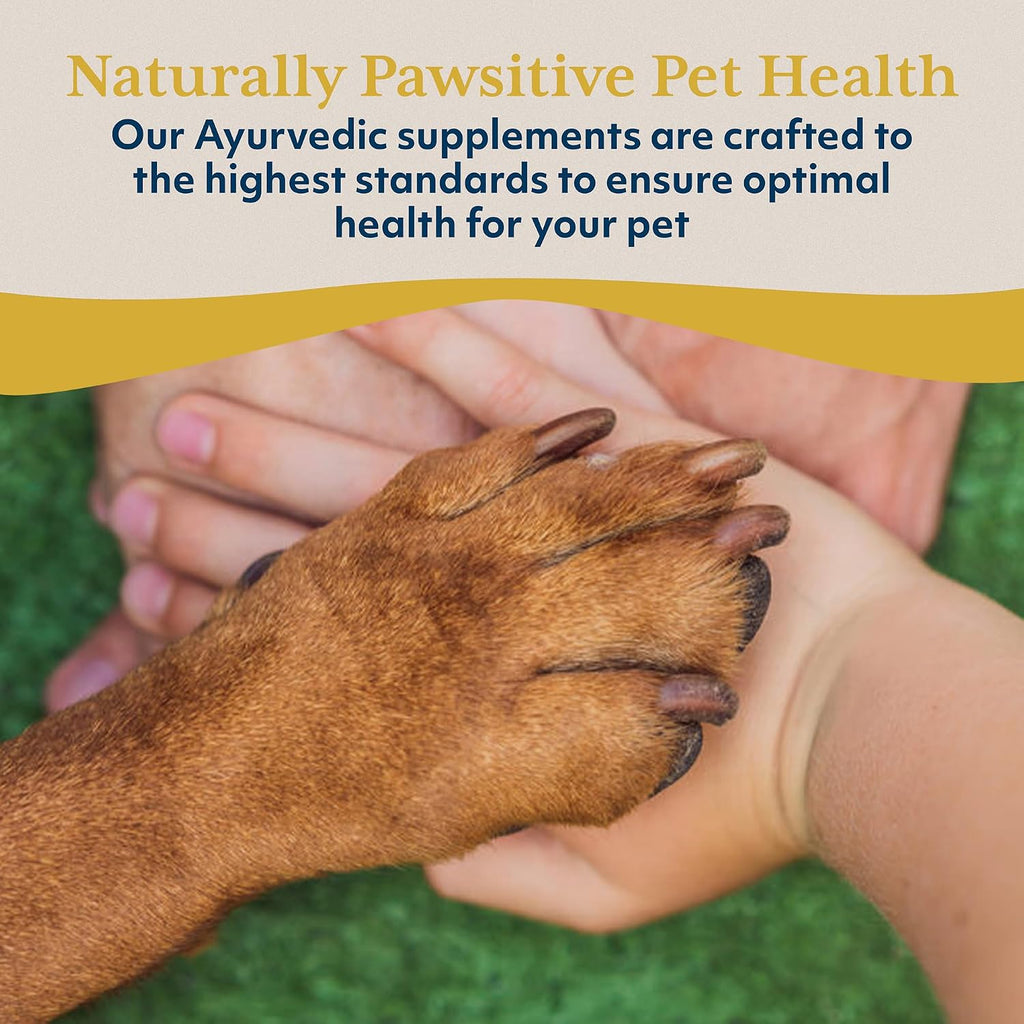 Ayush Pet Neem Plus - Suplemento de Neem para Perros - 90 Cápsulas