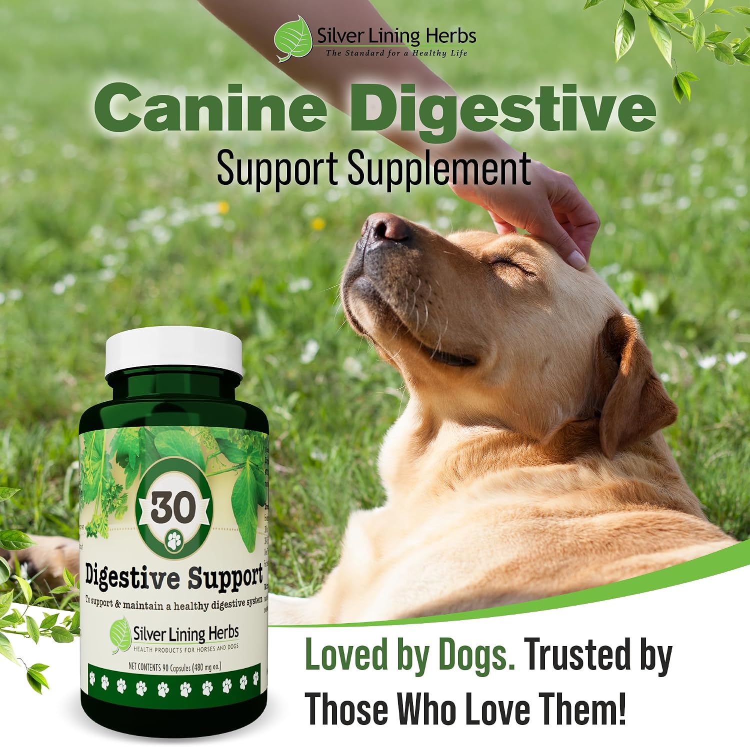 Digestive Support for Dogs - Natural Herbal Supplement - 90 Capsules
