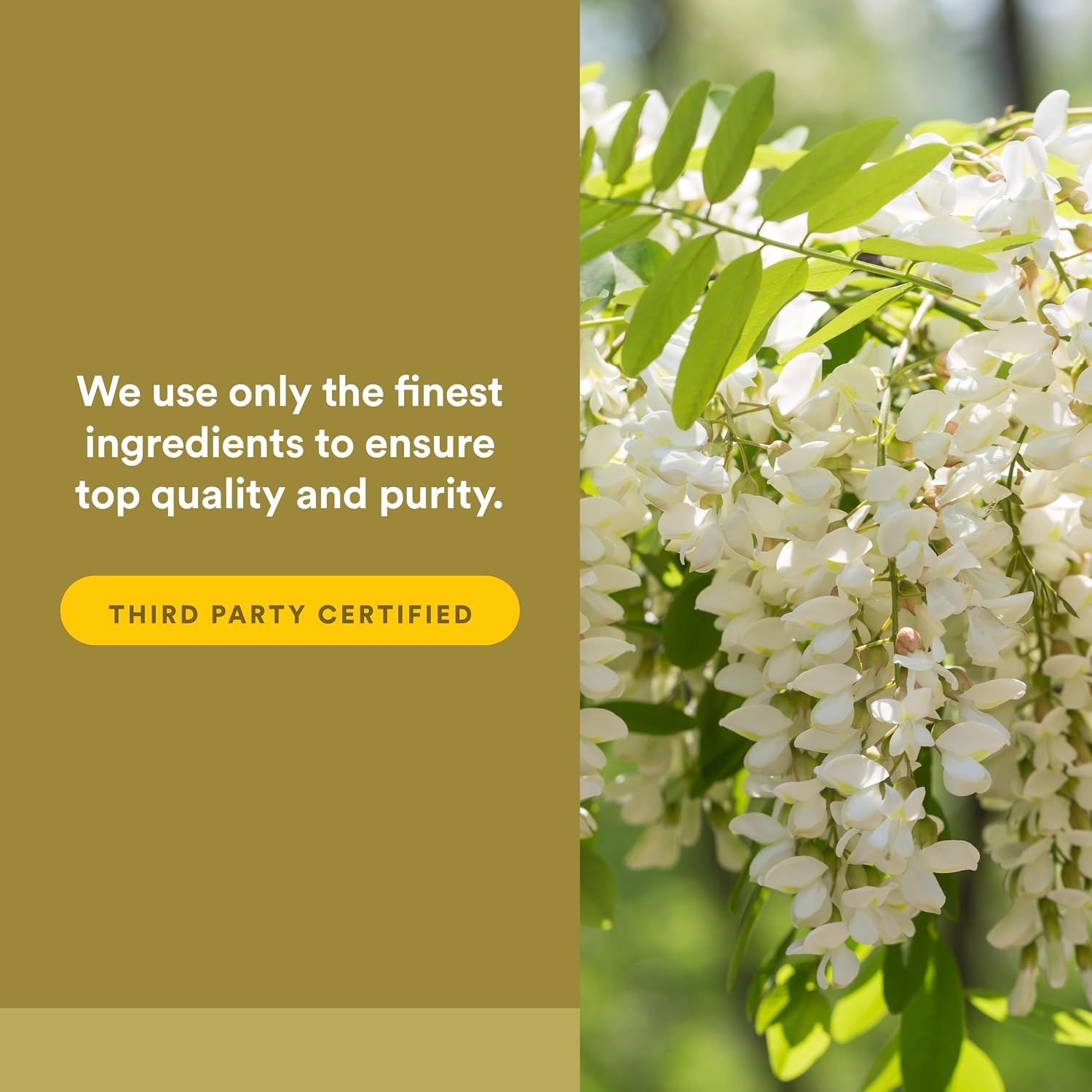 Natural Factors Quercetin LipoMicel Matrix - 30 Cápsulas Blandas