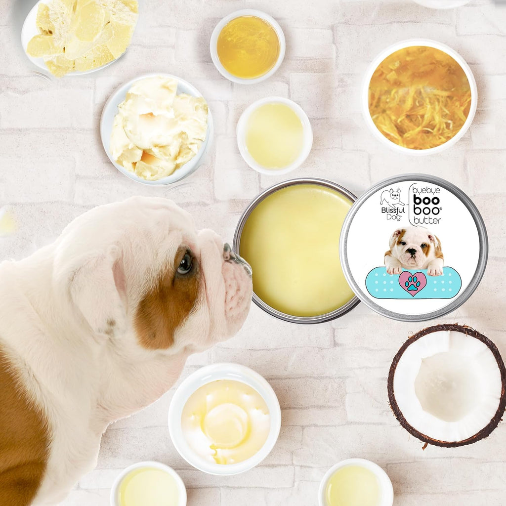 The Blissful Dog – Bálsamo Bulldog Booboo Butter (1 oz)