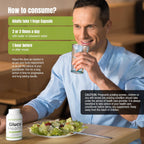 Herbsforever Gluco Health - 120 Cápsulas Vegetales - Control de Azúcar y Antojos