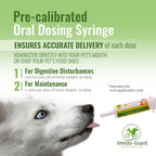 Probiotics Paste for Dogs Prebiotic for Canine, Gut Support, & Immune Boost, All Natural with 1 Billion per ML Includes (MOS)+ Beta Glucans + D-Mannose, No Animal by-Products - 60ML Single Tube