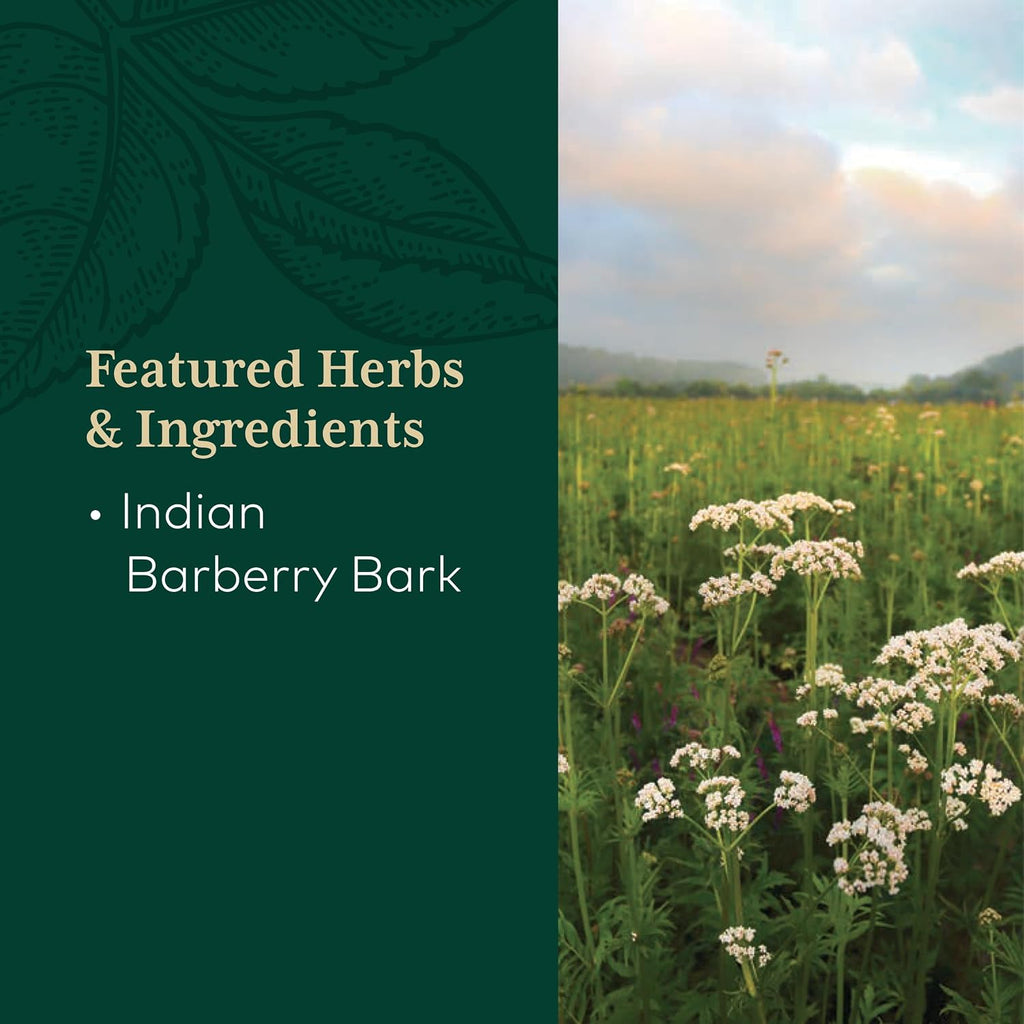 GAIA HERBS PRO Berberine Metabolic - Berberina HCI - 60 Cápsulas
