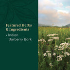 GAIA HERBS PRO Berberine Metabolic - Berberina HCI - 60 Cápsulas