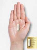 Carlyle ZMA - Suplemento de Zinc, Magnesio y Vitamina B6 | 90 Cápsulas | Sin Gluten y No-GMO