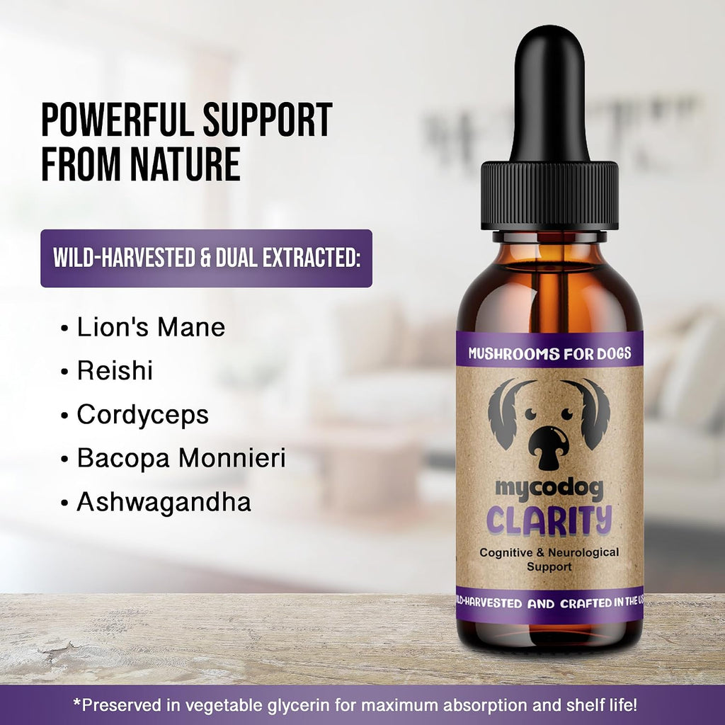 MycoDog Clarity - Complemento para la función cognitiva en perros mayores