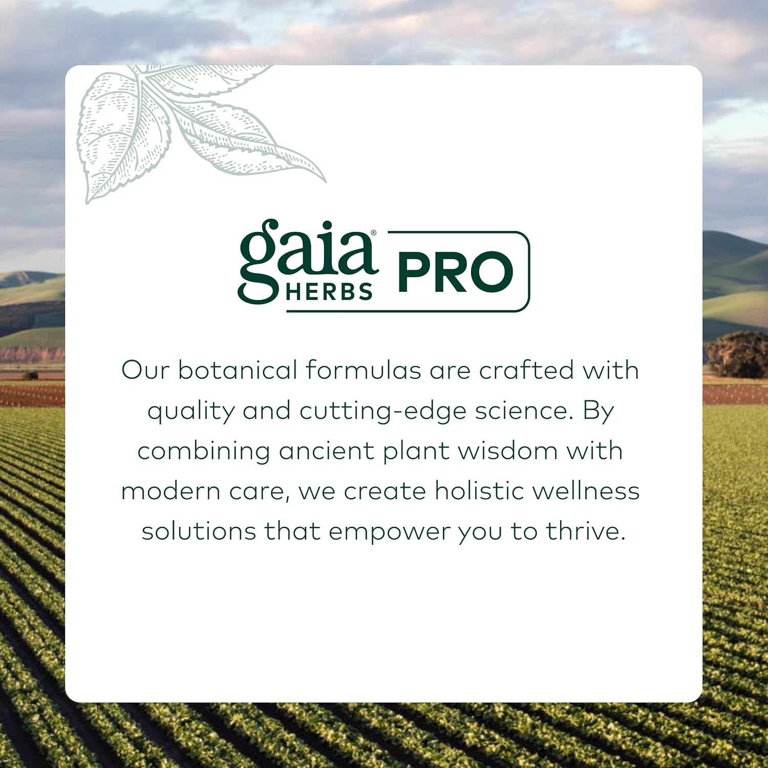 GAIA HERBS PRO Fórmula Pulmonar Diaria - Apoyo a la Salud Respiratoria - Suplemento con Hoja de Gordolobo, Raíz de Malvavisco y Más - Vegano, Sin Gluten, Sin Soja - 60 Cápsulas Líquidas