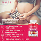 Gominolas Prenatales para Mujeres con DHA, Folato, Vitaminas B, C, D | PLANT.O NUTRITION