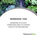NaturesPlus PRO Berberina 1500 mg - 60 Comprimidos