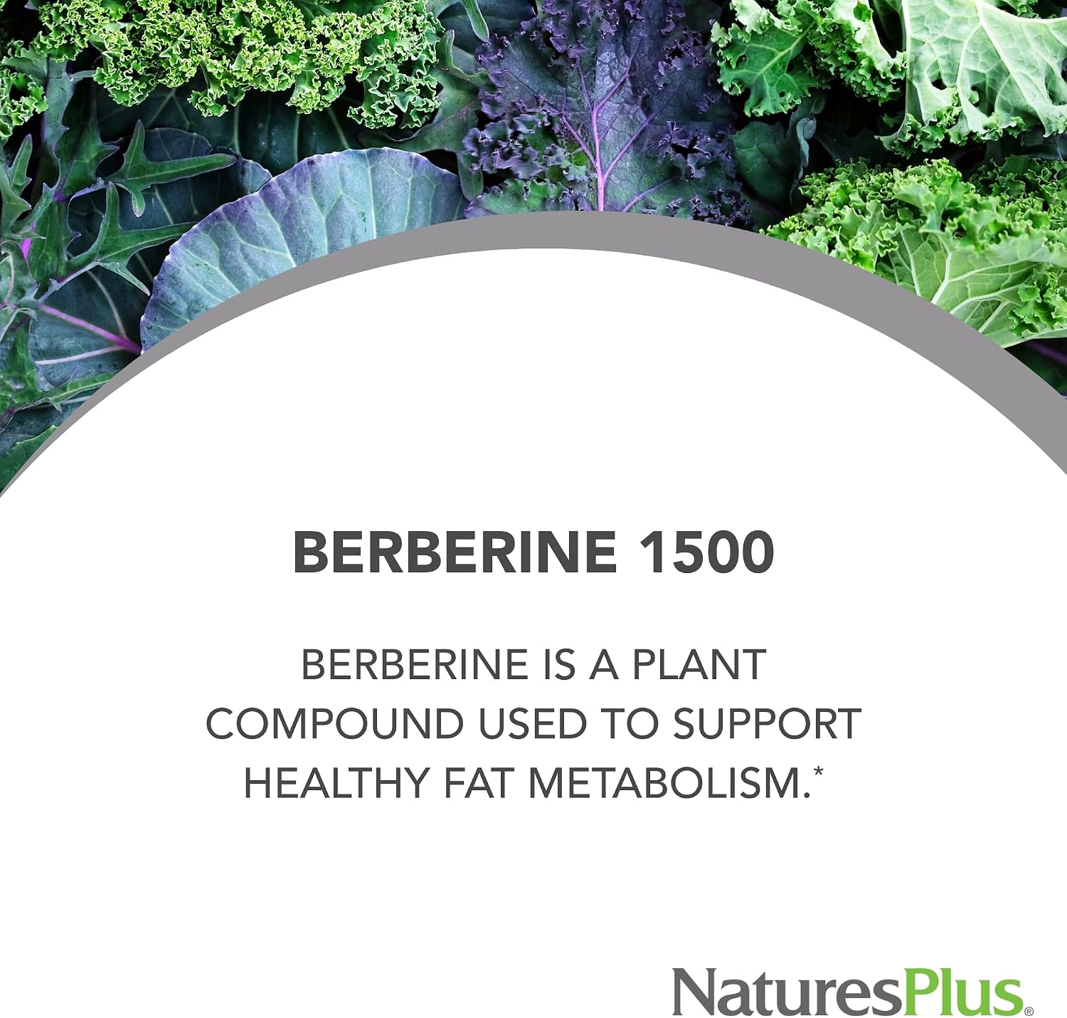 NaturesPlus PRO Berberina 1500 mg - 60 Comprimidos