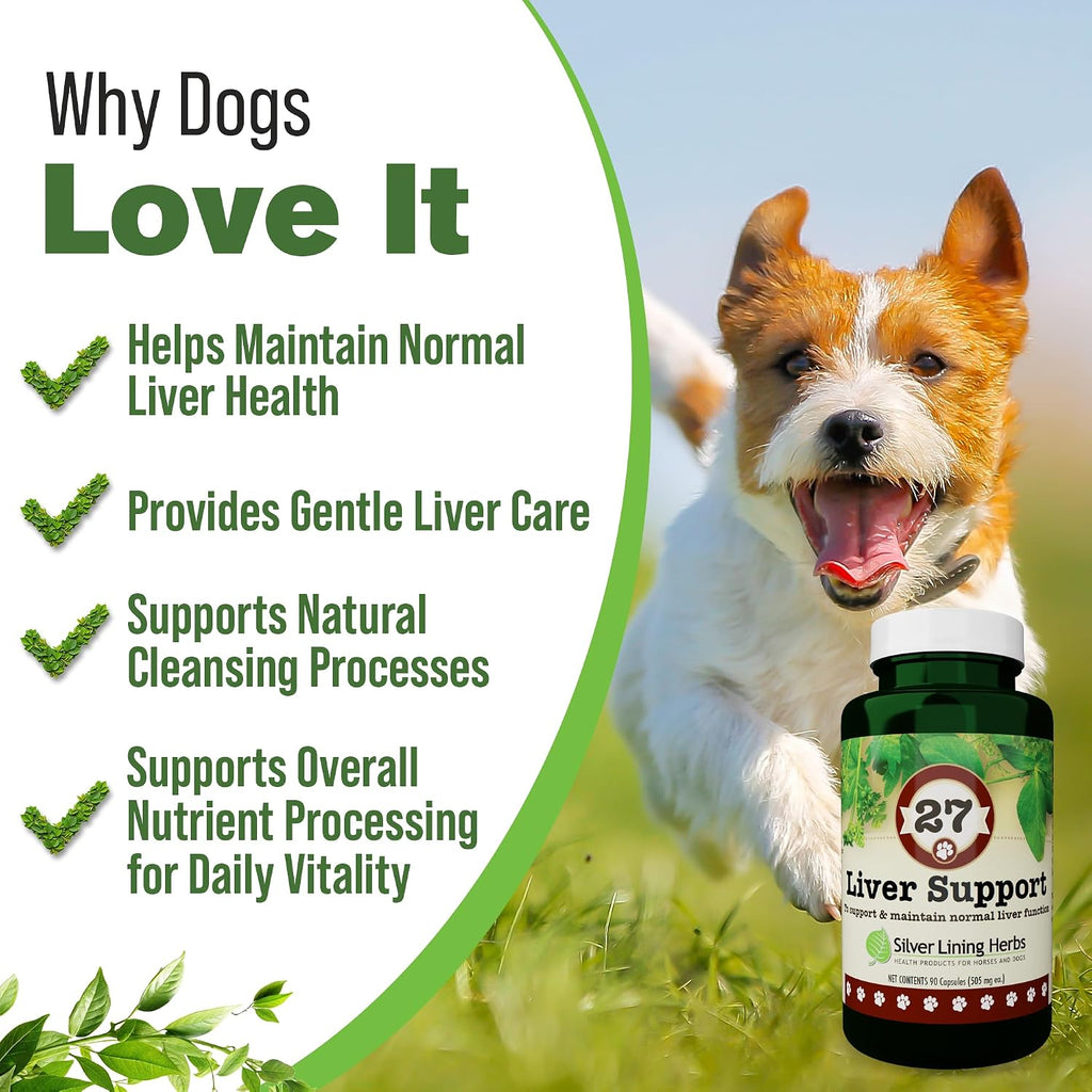 Silver Lining Herbs - Liver Support for Dogs - All Natural Herbal Supplement with Milk Thistle, Turmeric, Chamomile and More - 90 Capsules
