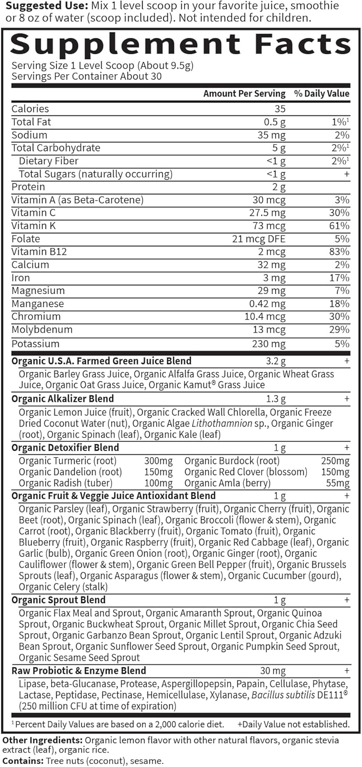Garden of Life Raw Organic Perfect Food Alkalizer y Detoxifier, Sabor Limón Jengibre, Polvo Superfood, 30 Porciones