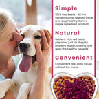 Olewo Remolacha Roja para Perros Granulado – Complemento Alimenticio para Apoyo Interno, Sensibilidad de la Piel y Equilibrio General, Fibra Prebiótica y Nutrientes de Alimentos Integrales, 623 g