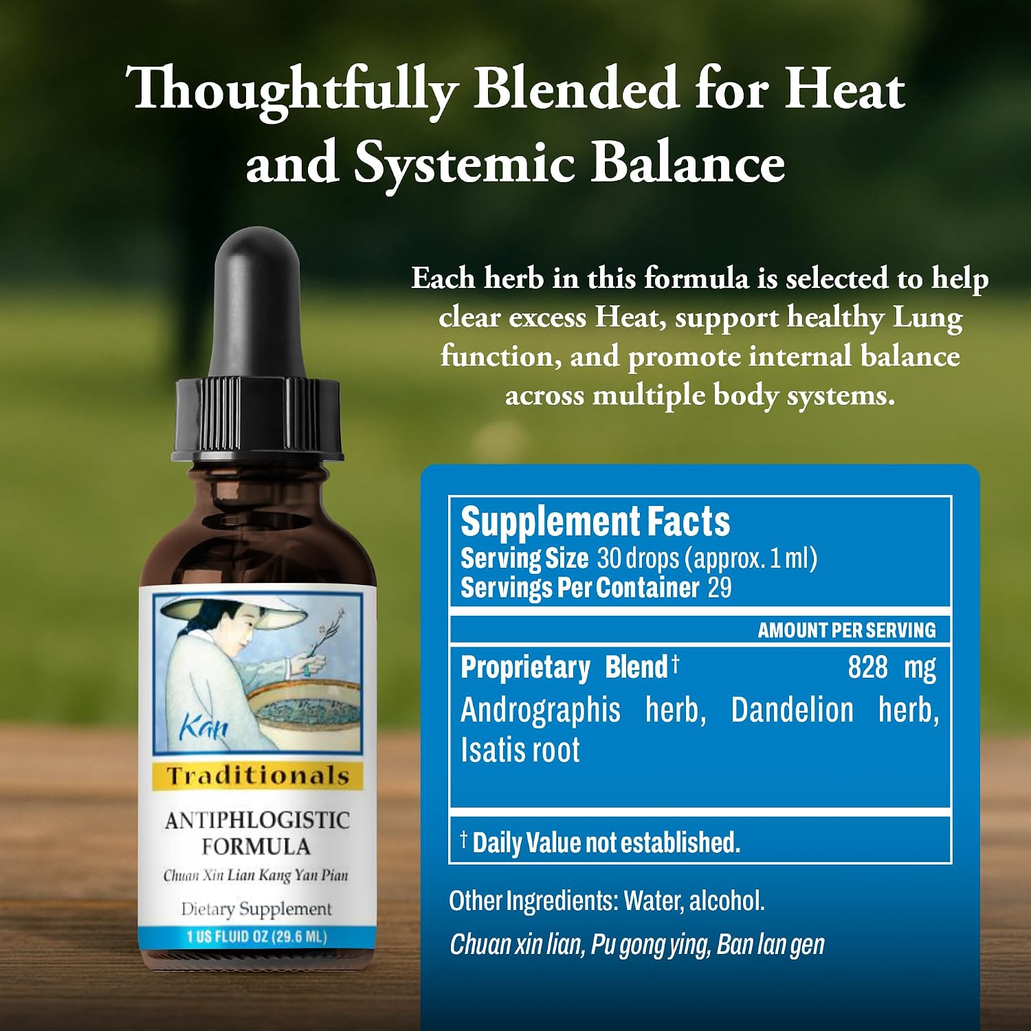 Kan Herbs Company Antiphlogistic Formula – Mezcla Herbal Tradicional China para Apoyar el Equilibrio Térmico y la Comodidad Pulmonar y Digestiva, Extracto Líquido, 1 fl oz (30 ml)