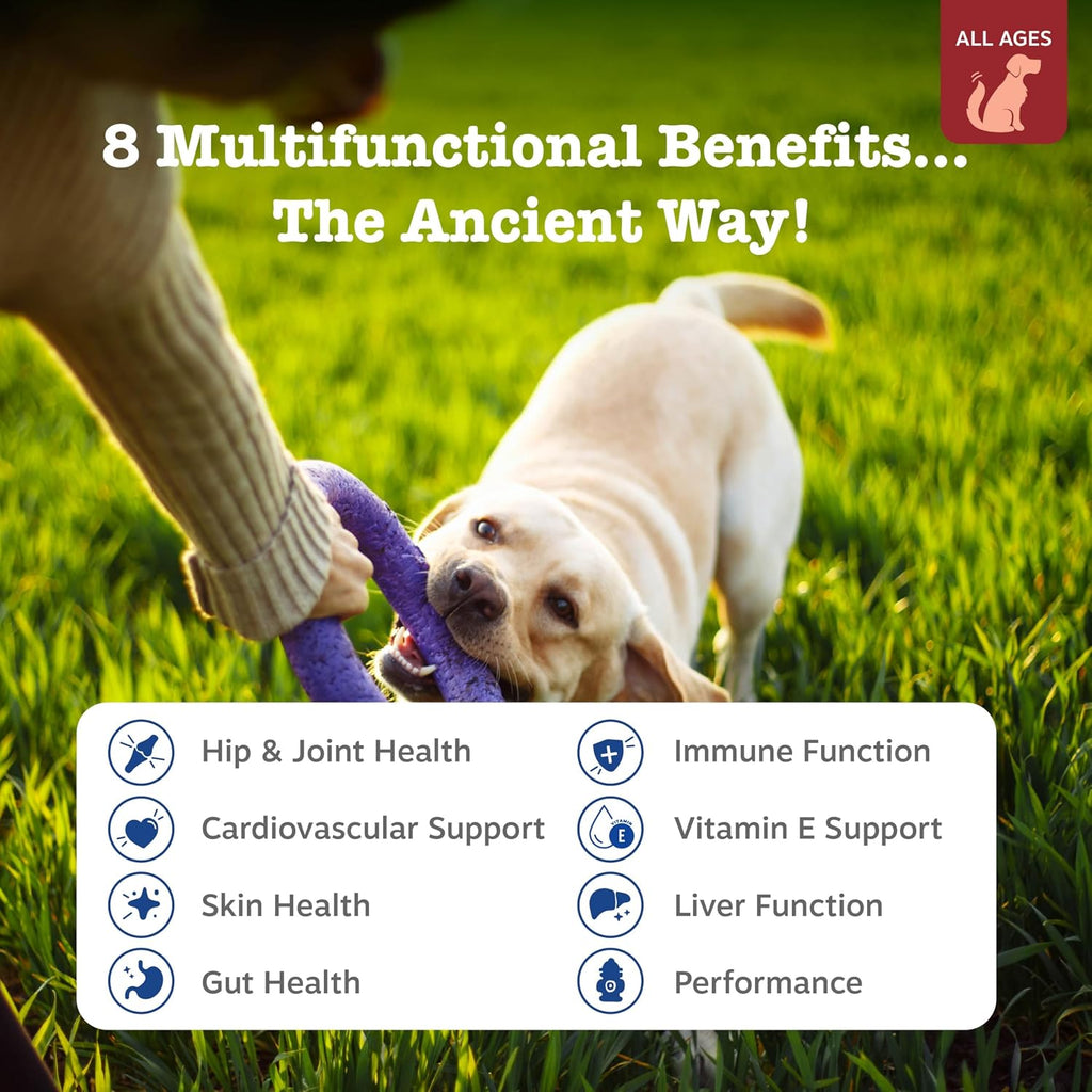 Zesty Paws Multivitamínico para Perros, Snack Masticable con Omega 3, Glucosamina y CoQ10 – 90 unidades – Sabor Bisonte