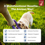 Zesty Paws Multivitamínico para Perros, Snack Masticable con Omega 3, Glucosamina y CoQ10 – 90 unidades – Sabor Bisonte