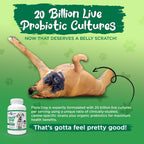 Vital Planet Flora Dog Probiótico Masticable para Perros - 30 Tabletas Sabor Carne con 20B UFC