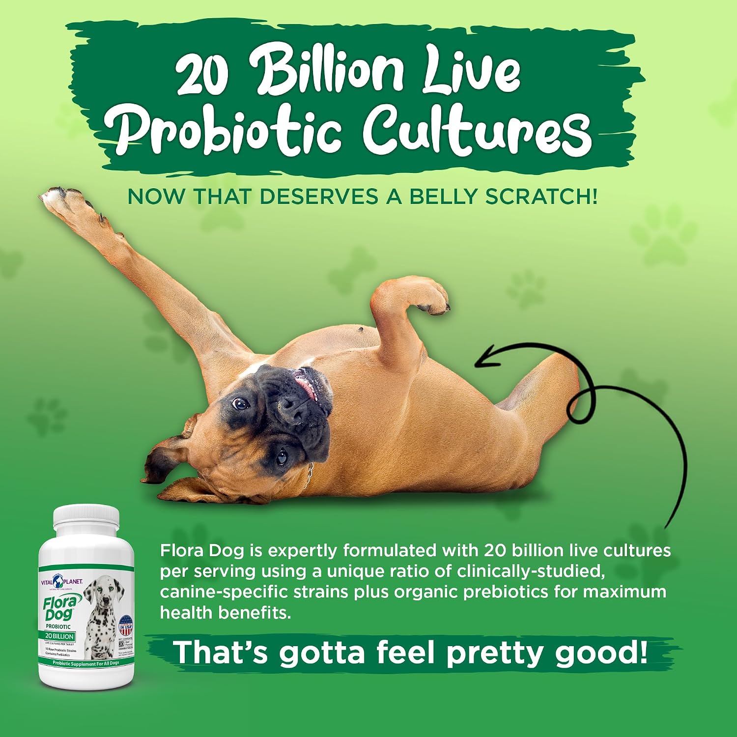 Vital Planet Flora Dog Probiótico Masticable para Perros - 30 Tabletas Sabor Carne con 20B UFC