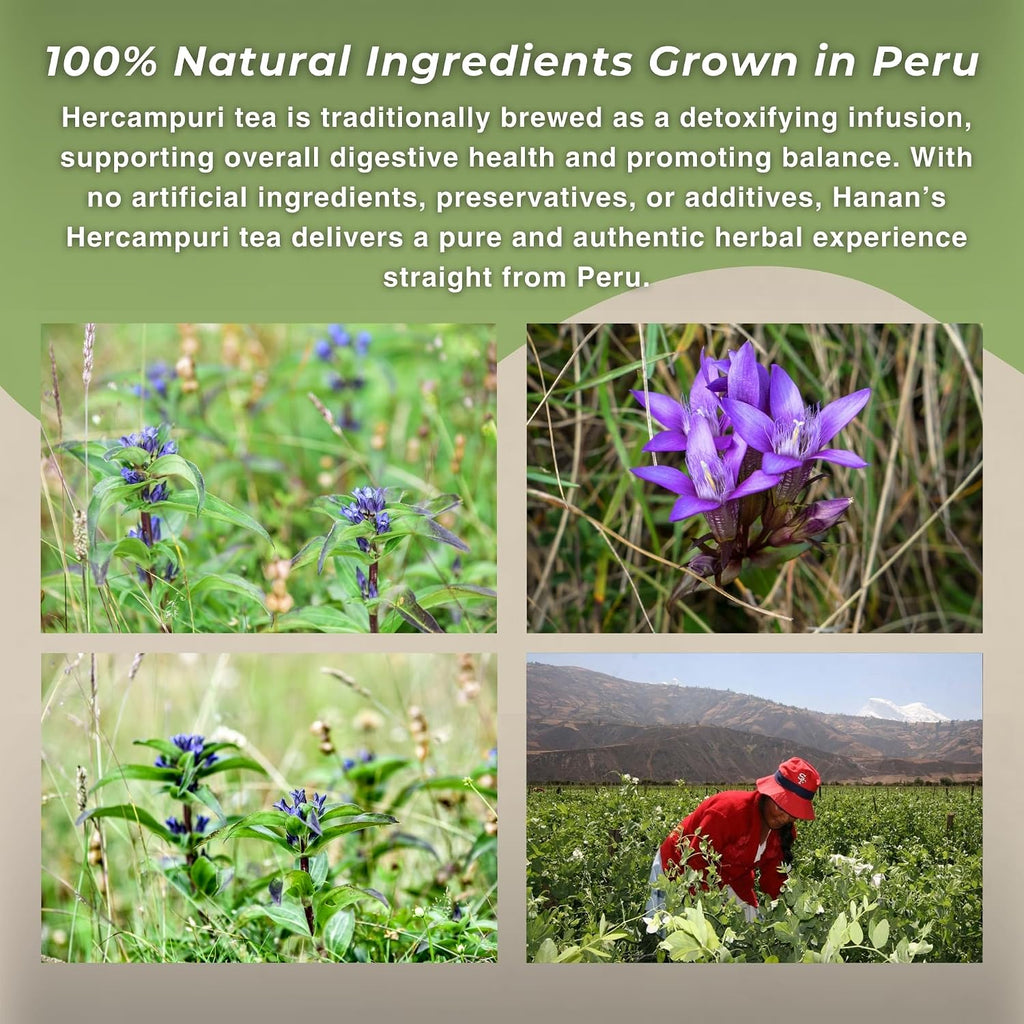 Hanan Peruvian Secrets Hercampuri - 100% Natural Gentianella Alborosea 40g - Infusión Depurativa