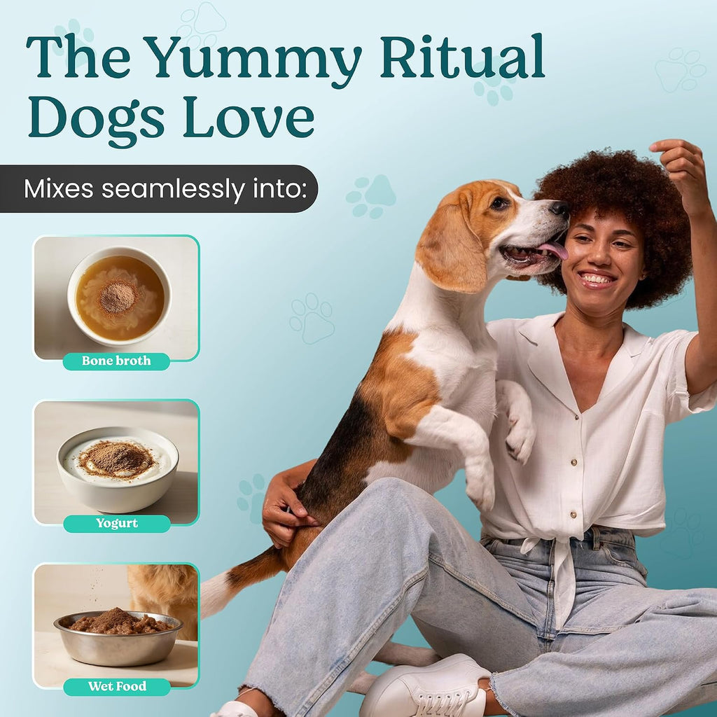 Doggie Herbs High Potency Immune Support – Fórmula de Cuidados Críticos con Setas Turkey Tail, Reishi y Hierbas TCM – Polvo Formulado por Doctor para Recuperación, Vitalidad y Salud Celular – 100g