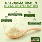 Dimmak Herbs Extracto Orgánico de Scutellaria Baicalensis 5:1 (Huang Qin) - 113 g