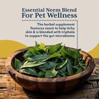 Ayush Pet Neem Plus - Suplemento de Neem para Perros - 90 Cápsulas