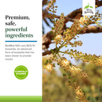 BosMed 500 Extra Fuerte - Extracto de Boswellia Serrata - 60 cápsulas blandas (Paquete de 2)