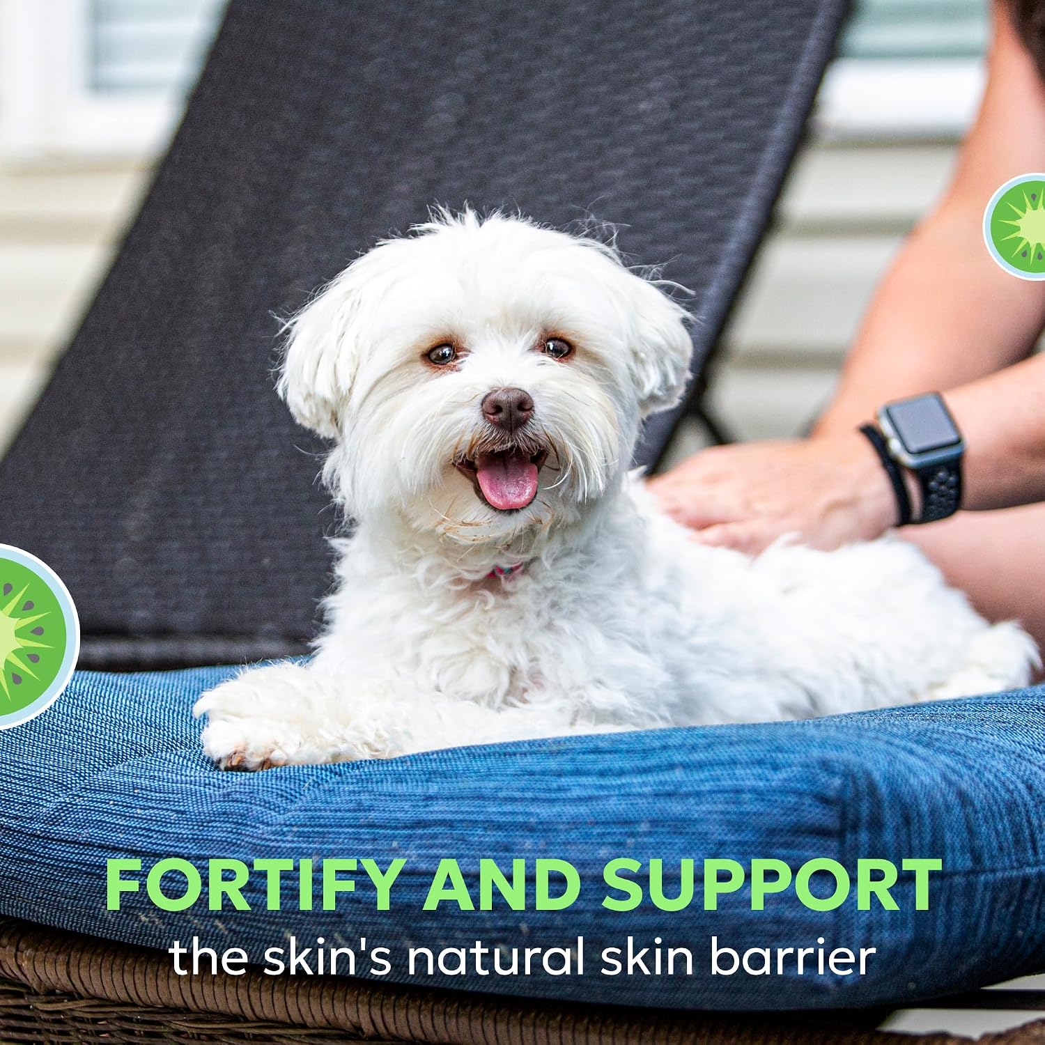 Nutramax Dermaquin Suplemento para la Piel para Perros y Gatos Pequeños a Medianos, con Hardy Kiwi, Omega-3 y más, 60 Chewables Blandos