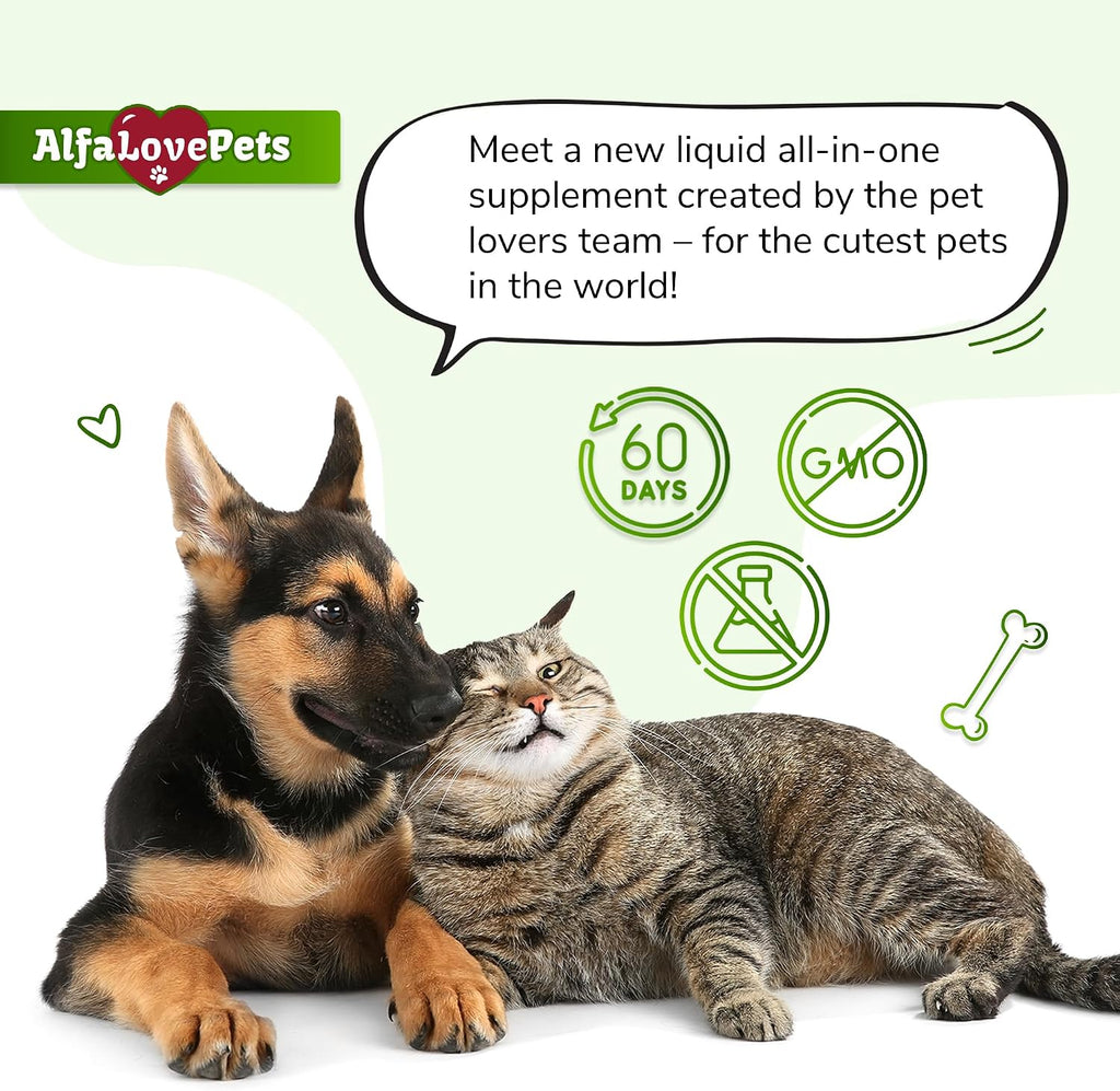 Suplemento Urinario para Perros y Gatos – Cuidado de Riñones y Vejiga con Arándano – 60 ml