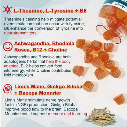 NEVISS Gominolas Brain Focus Sin Azúcar - L-Tirosina 300mg, L-Teanina 200mg, Vitamina B6 100mg, B12 500mcg, Ginkgo Biloba, Rhodiola Rosea, Lion's Mane - 1 Pack