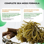 Ultra Herbs Cápsulas de Sea Moss con Aceite de Nigella, Ashwagandha, Vitamina D3 y C | 12 en 1 | Apoyo Inmunológico | 150 Cápsulas | Sin Gluten | No GMO