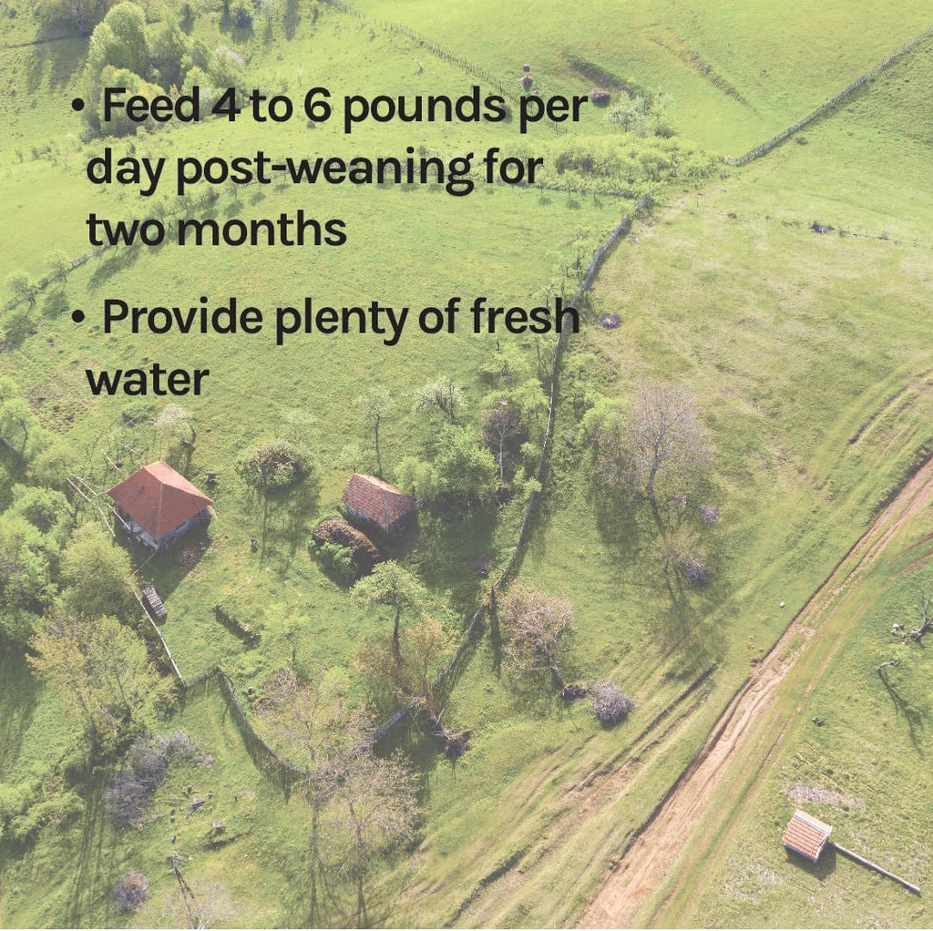 New Country Organics | Pienso con 16% de Proteína para Cerdos en Crecimiento | Sin Soja | Ecológico y No Transgénico | 18 kg
