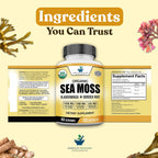 American Standard Supplements Cápsulas Orgánicas de Sea Moss, Bladderwrack y Burdock Root - 1200mg Sea Moss, 1200mg Bladderwrack, 225mg Burdock Root por Dosis - 120 Cápsulas, 40 Dosis