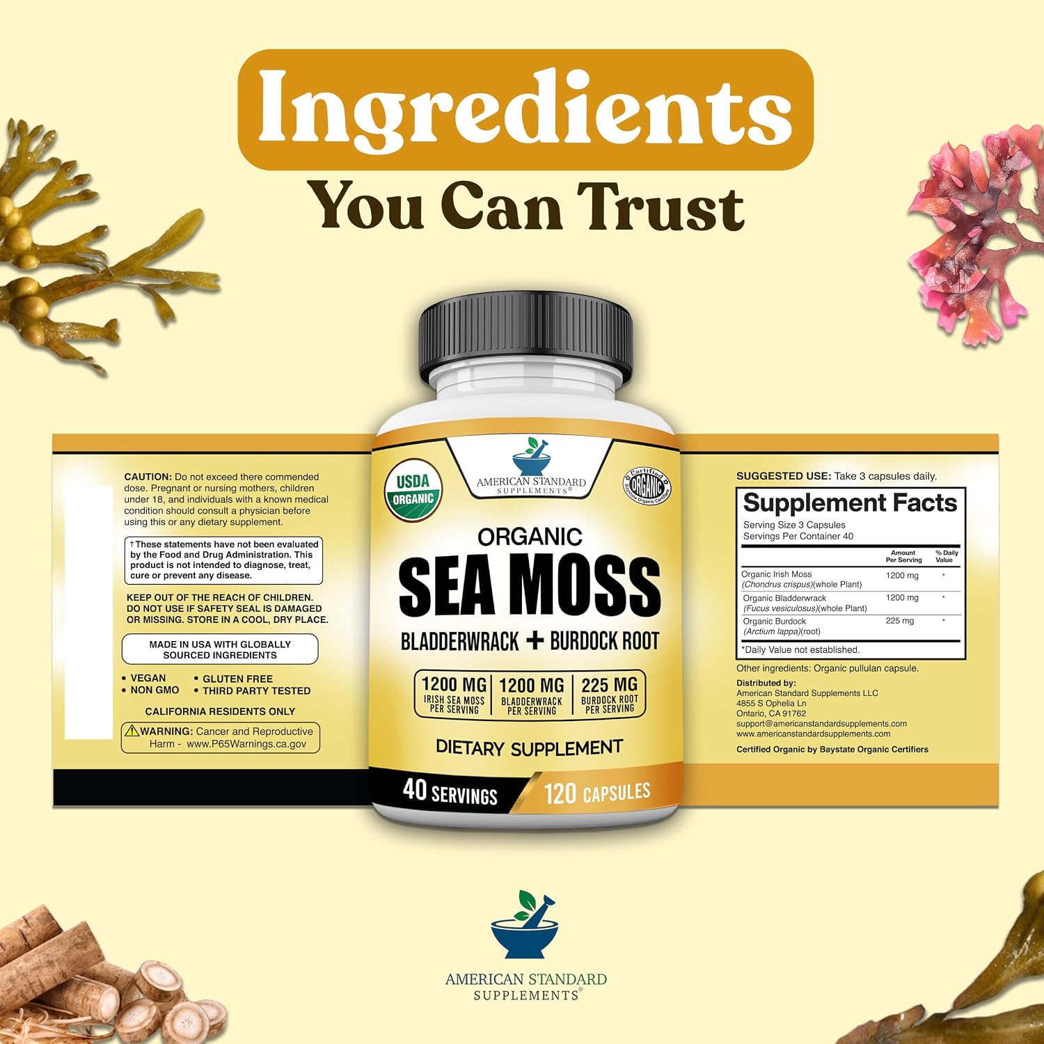 American Standard Supplements Cápsulas Orgánicas de Sea Moss, Bladderwrack y Burdock Root - 1200mg Sea Moss, 1200mg Bladderwrack, 225mg Burdock Root por Dosis - 120 Cápsulas, 40 Dosis