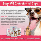 Vital Planet - Multivitamínico en Polvo Vital Dog para Perros, Sabor Carne de Res, 75 g (30 raciones)