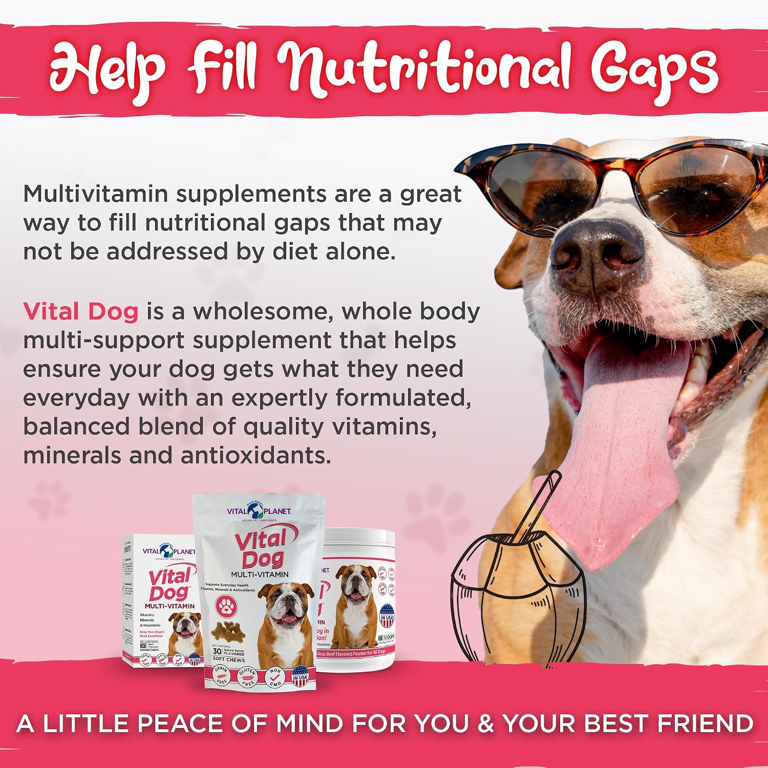 Vital Planet - Multivitamínico en Polvo Vital Dog para Perros, Sabor Carne de Res, 75 g (30 raciones)