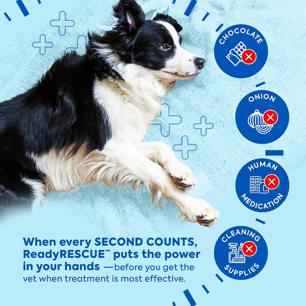 READYRESCUE Microesferas de Carbón Activado para Perros y Gatos - Kit esencial de primeros auxilios para mascotas - Aglutinante de veneno de acción rápida - Seguro y listo para llevar - 30g Pack de 12