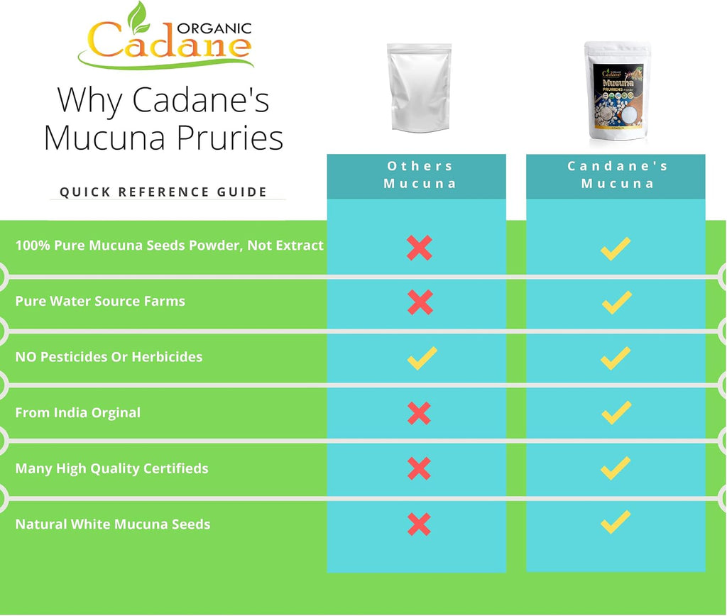 Organic Cadane Mucuna Pruriens en Polvo 1 Libra | Ayuda a la Salud Cerebral, Inmunidad y Energía | Certificado USDA Vegano