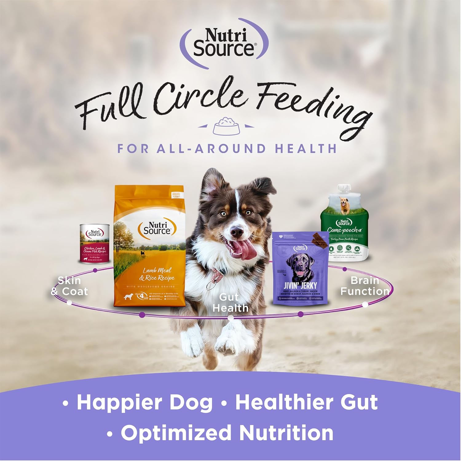 NutriSource AmpliFull Turkey Flavor Multivitamin Soft Chews para Perros, Suplemento Diario con Colostro Bovino, Vitaminas y Minerales Esenciales, 70 Chews (1 Pack)