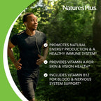 NaturesPlus Ultra One Daily Sin Hierro - 90 Cápsulas - Multivitamínico y Mineral con Betacaroteno - Vegano, Sin Gluten