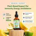 Suplemento Líquido de Guanábana con Musgo Marino – Sabor Lima-Limón, 60 mL